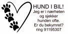Hund i bil thumbnail